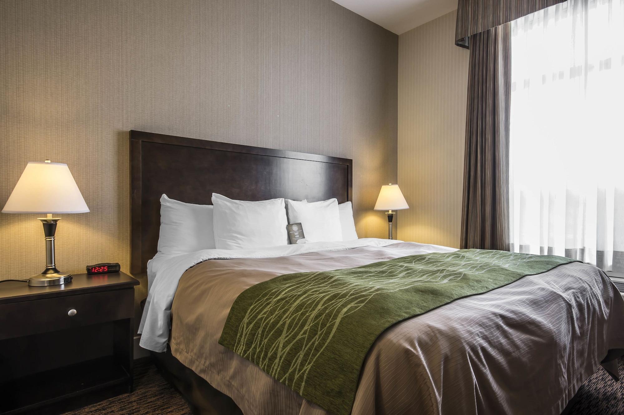 Comfort Inn & Suites Surrey Extérieur photo