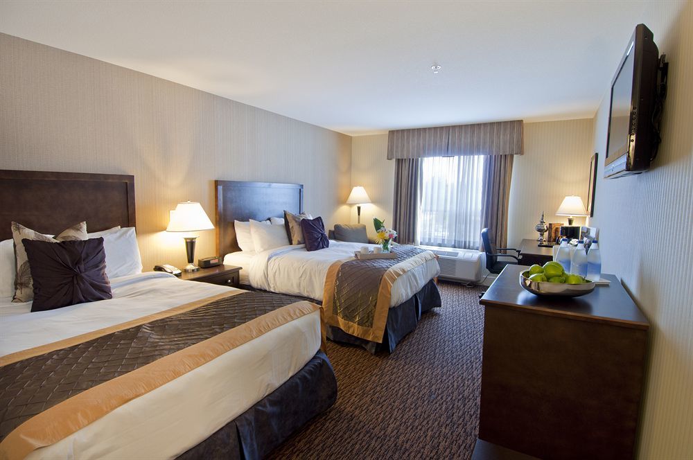 Comfort Inn & Suites Surrey Chambre photo